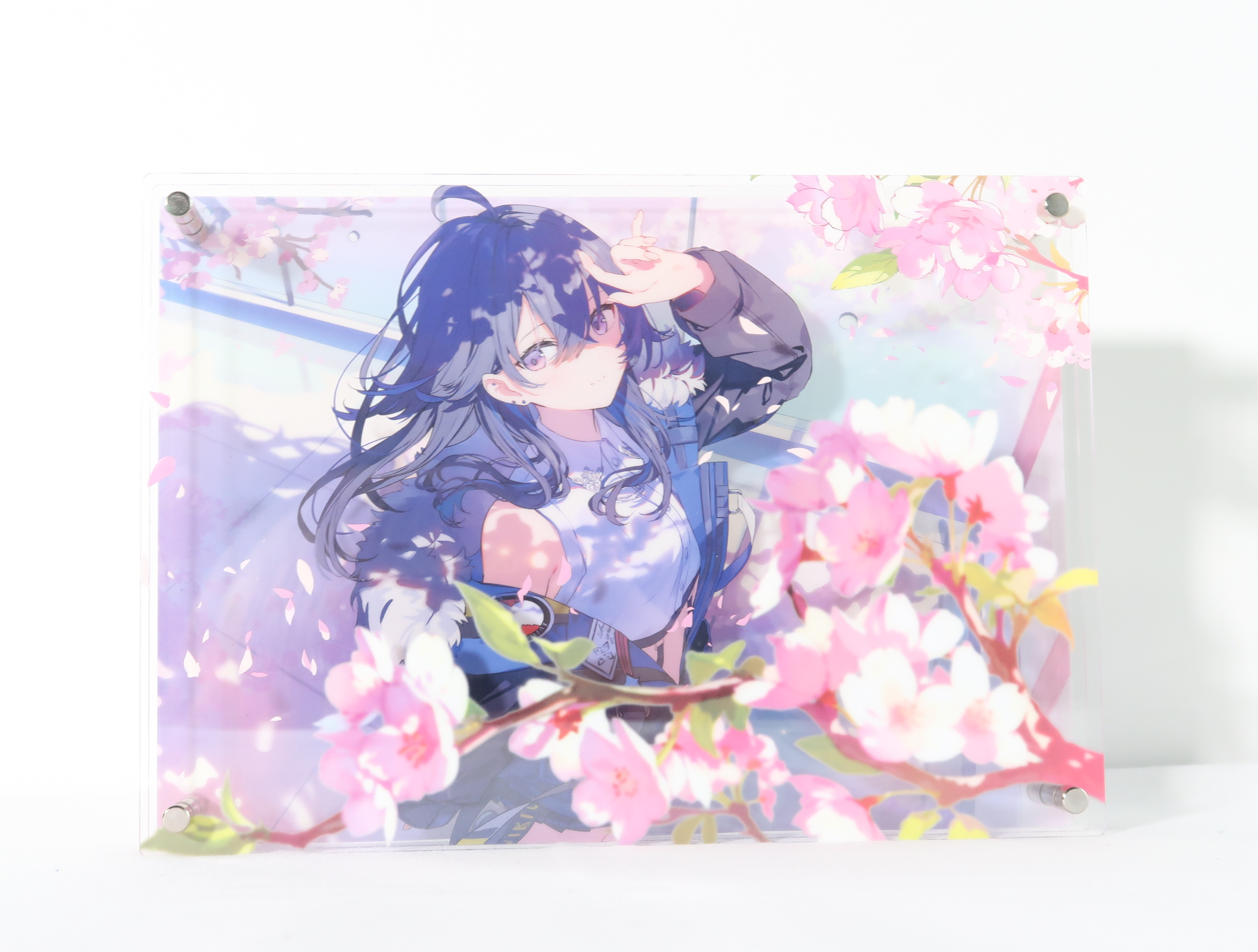 入荷速報】一ノ瀬うるは5周年記念アクリルパネルが入荷！春風のように