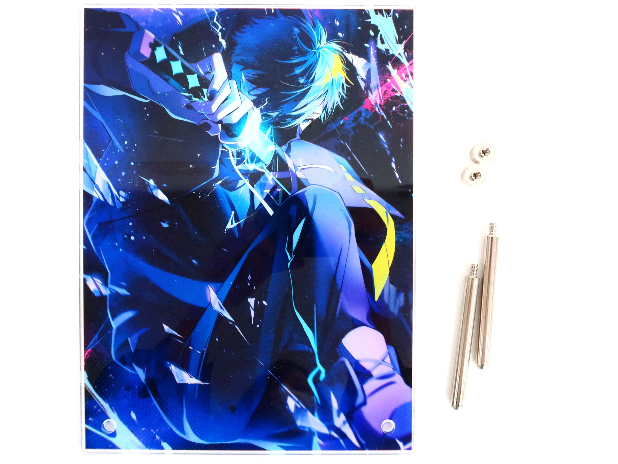 VanilLa(Crazy Raccoon) アクリルパネル VanilLa Birthday Goods 2024